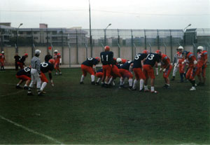 Delfini Trucks Offense